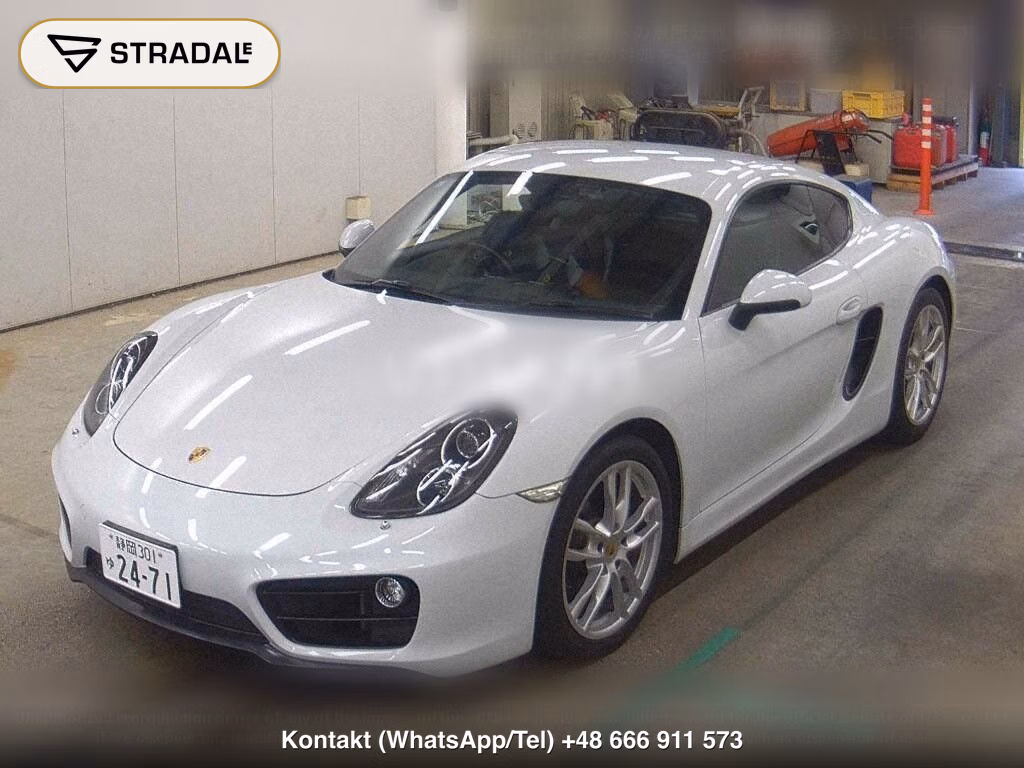 PORSCHE CAYMAN OTHERS, miniaturka 5