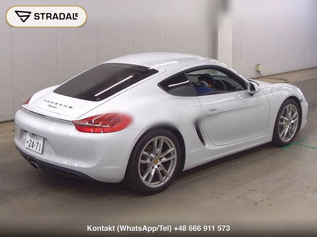 PORSCHE CAYMAN OTHERS, miniaturka 6