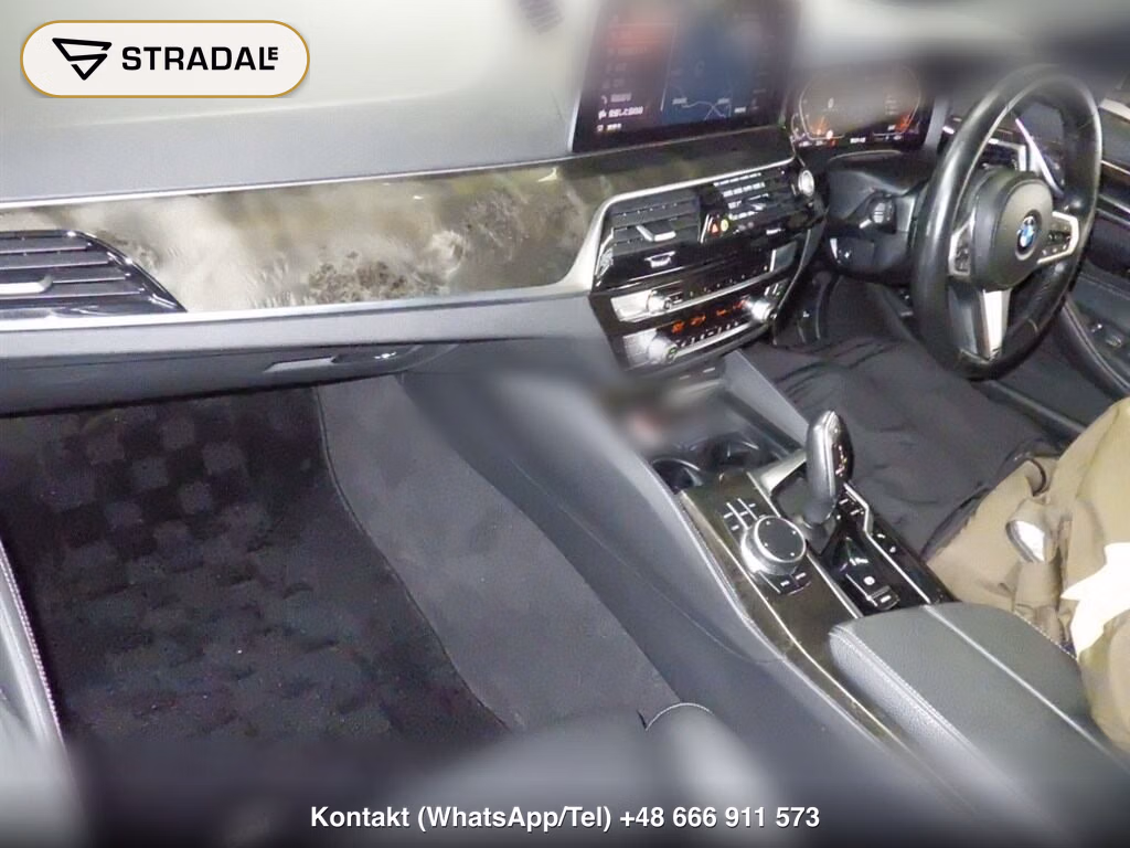 BMW 5 SERIES 4D 4WD 523D XDRIVE M-SPORT EDITION JOY+, miniaturka 4