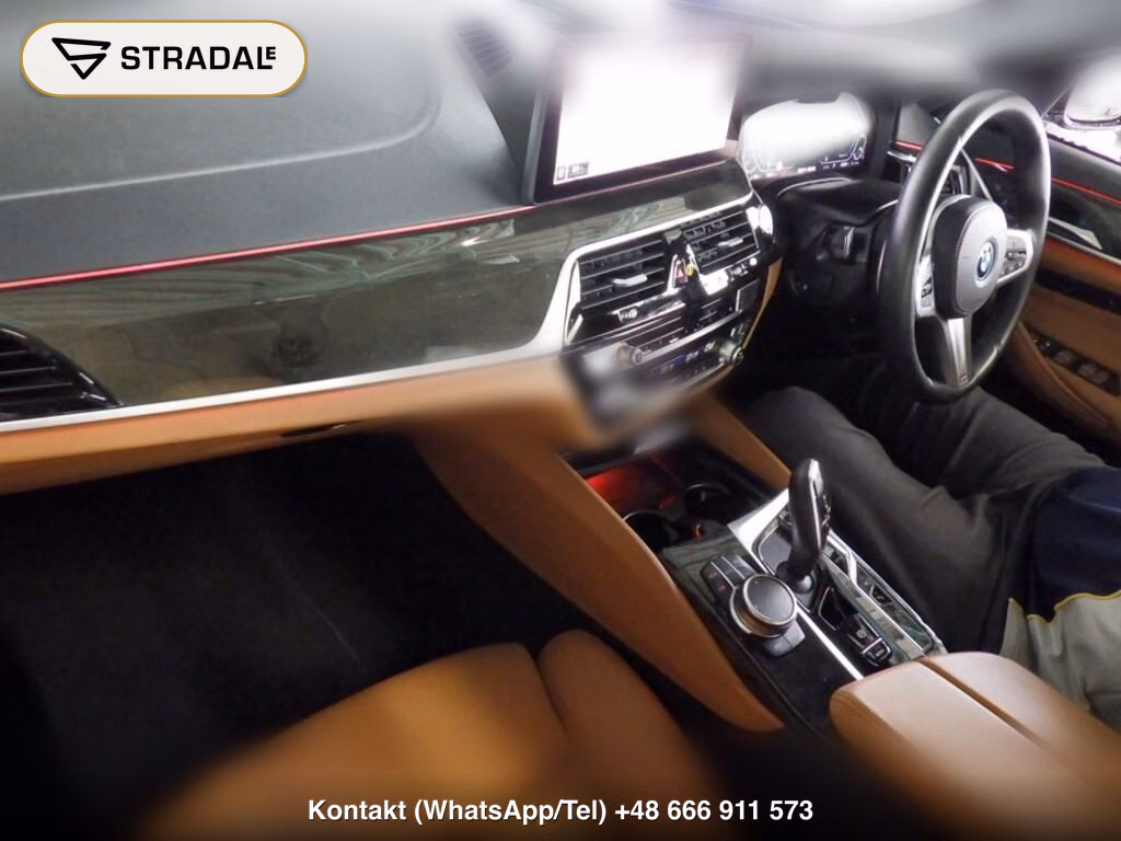 BMW 5 SERIES 4D 523E M-SPORT, miniaturka 4