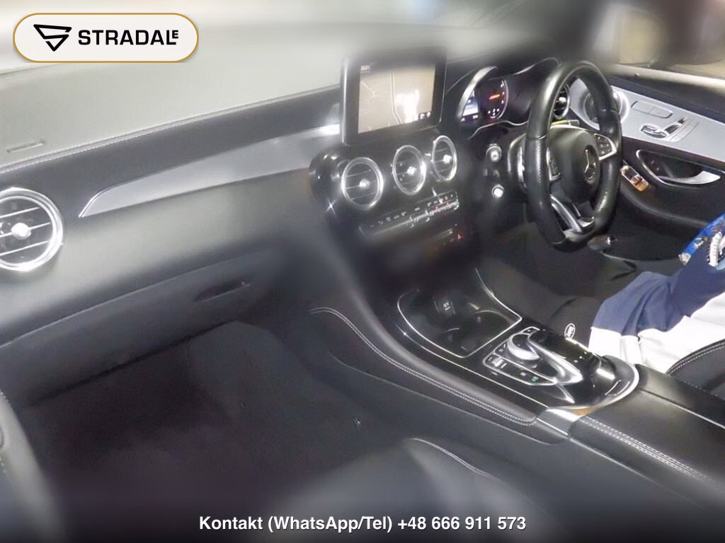 MERCEDES BENZ GLC-CLASS 4WD GLC250 4MATIC SPORTS (LEATHER VERSION), miniaturka 4