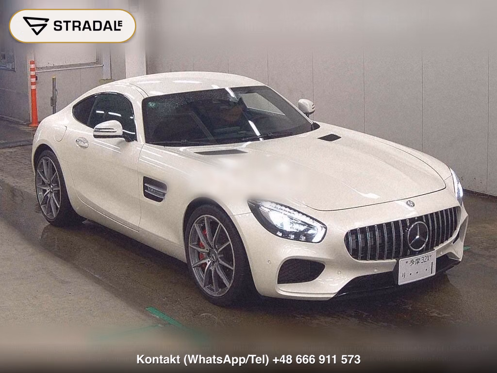 MERCEDES AMG GT 3D S, miniaturka 2