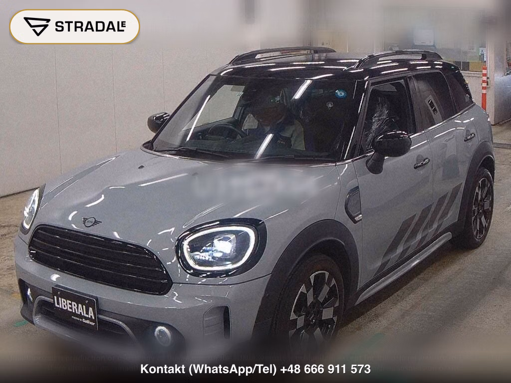 MINI MINI 5D COOPER D CROSSOVER UNTAMED EDITION, miniaturka 5