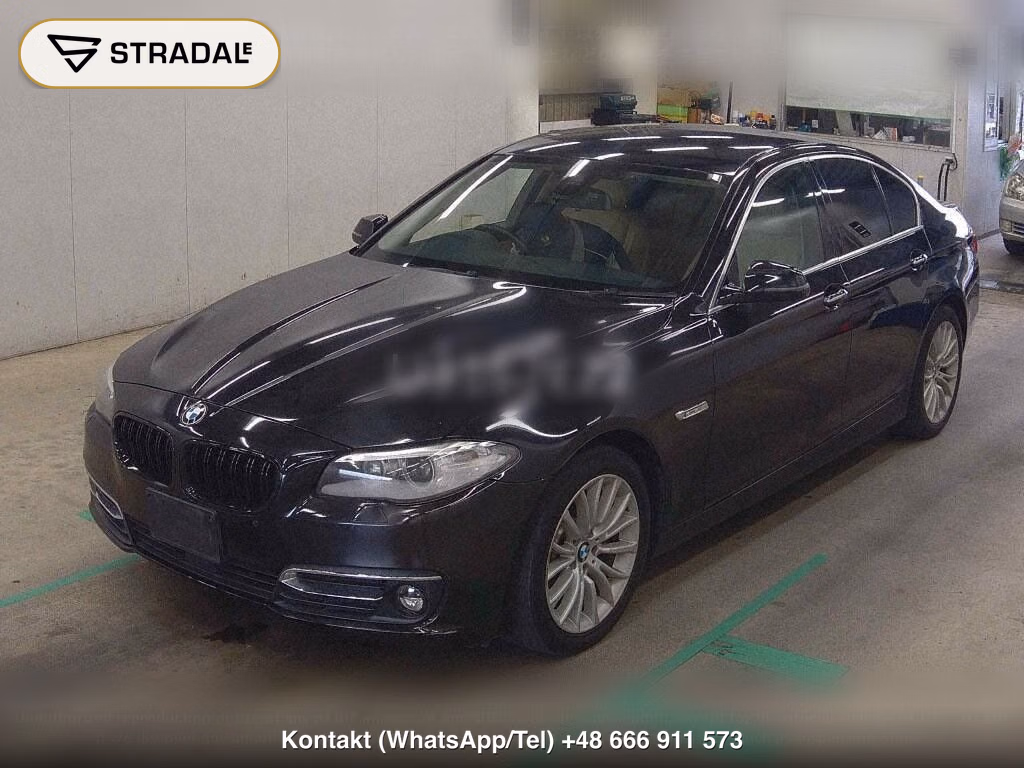 BMW 5 SERIES 4D 523I LUXURY, miniaturka 5