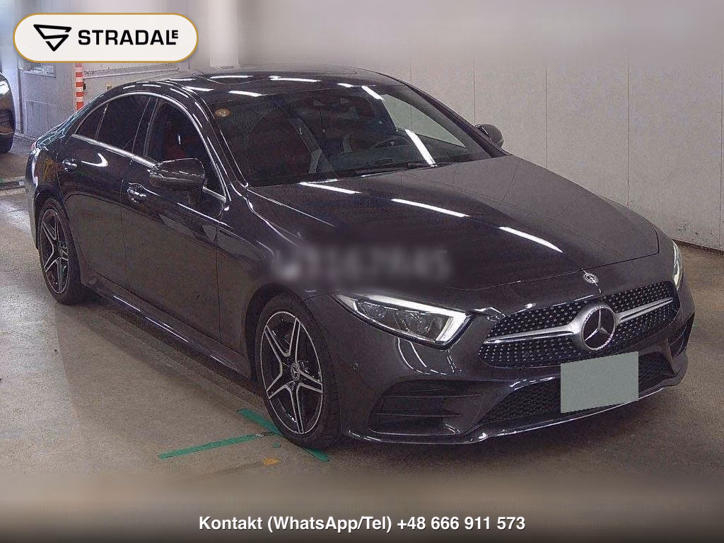 MERCEDES BENZ CLS-CLASS 4WD OTHERS, miniaturka 2
