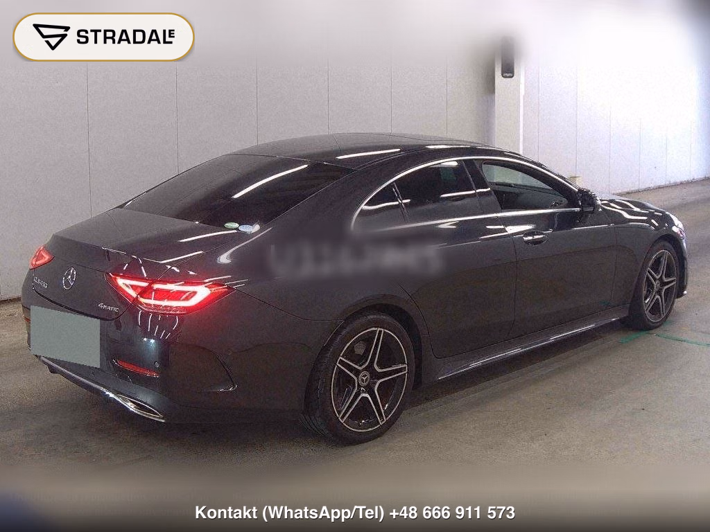 MERCEDES BENZ CLS-CLASS 4WD OTHERS, miniaturka 6