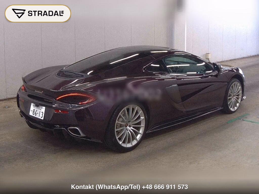 MCLAREN 570GT OTHERS, miniaturka 6