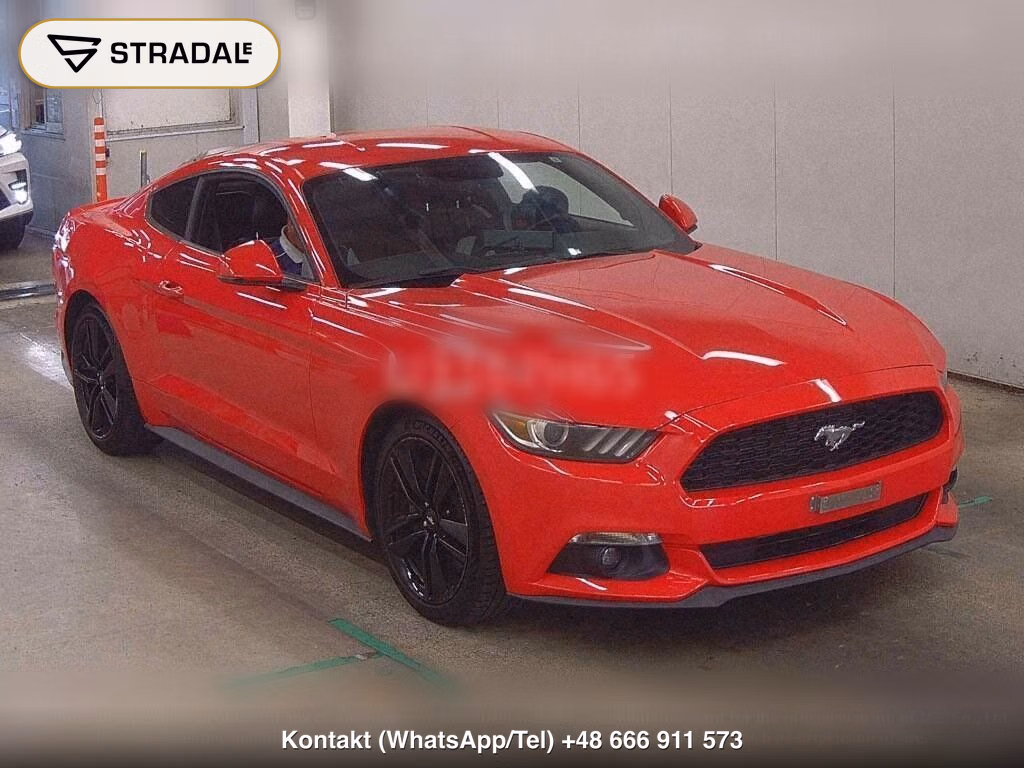 FORD MUSTANG CP 50 YEARS EDITION, miniaturka 2