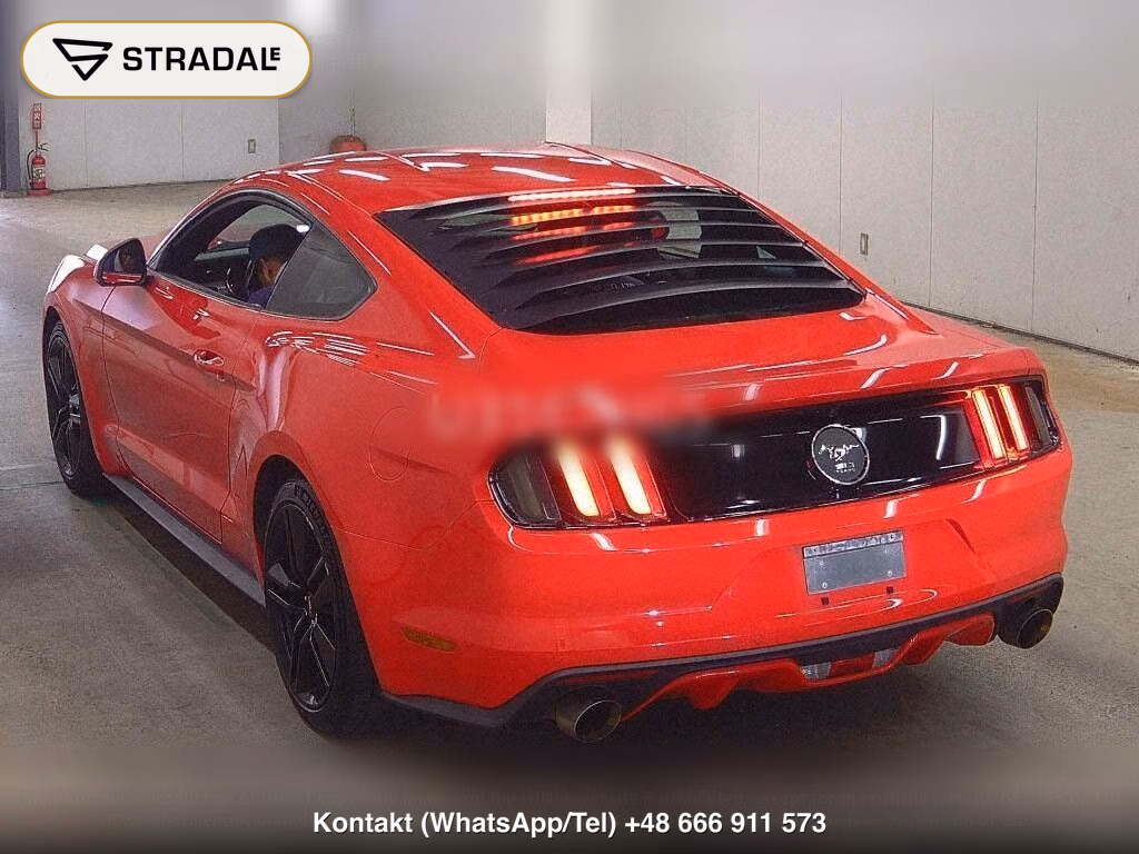 FORD MUSTANG CP 50 YEARS EDITION, miniaturka 3