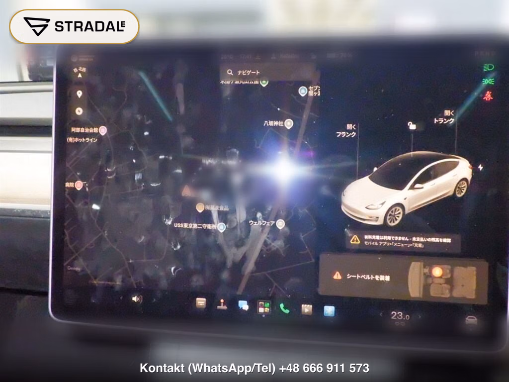 TESLA MODEL 3 STANDARD RANGE PLUS, miniaturka 7