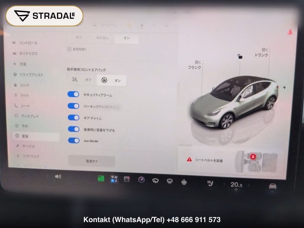 TESLA MODEL Y BASE GRADE, miniaturka 7
