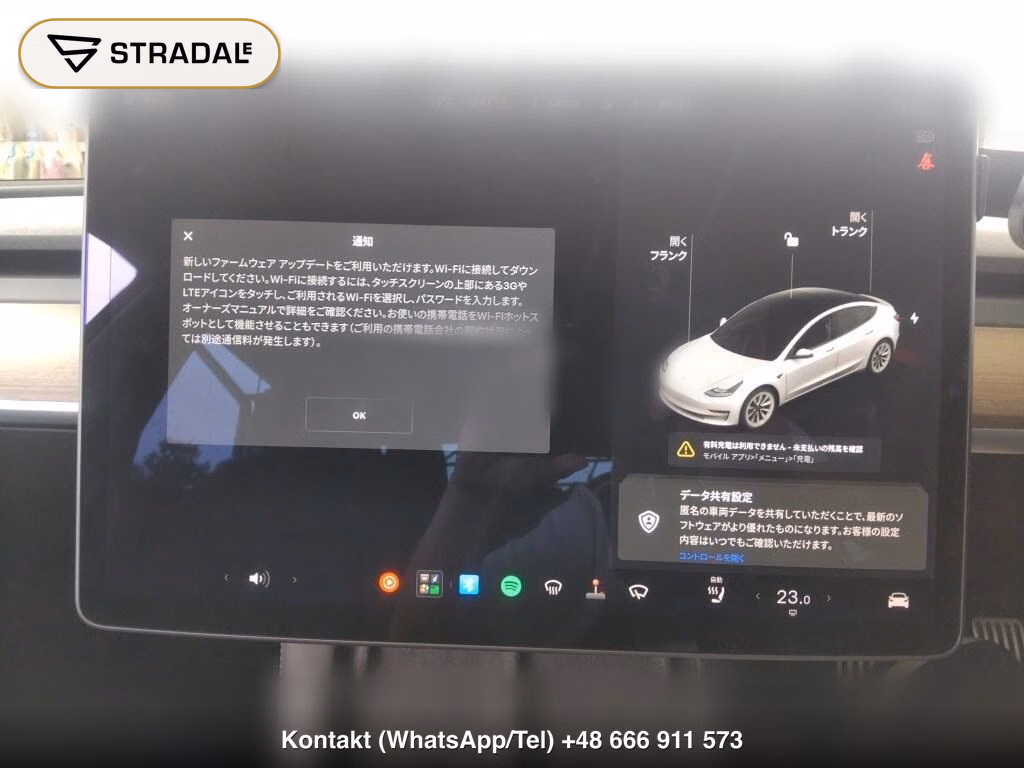 TESLA MODEL 3 4WD LONG RANGE, miniaturka 7