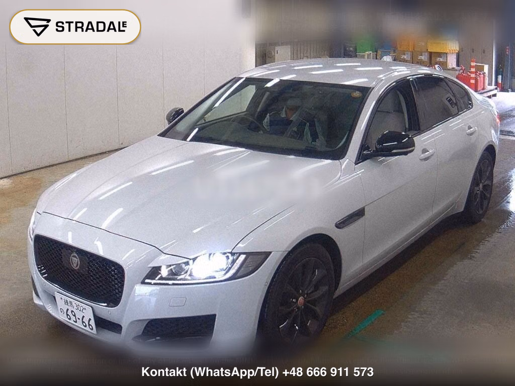 JAGUAR XF XF KEI NISHIKORI EDITION, miniaturka 5