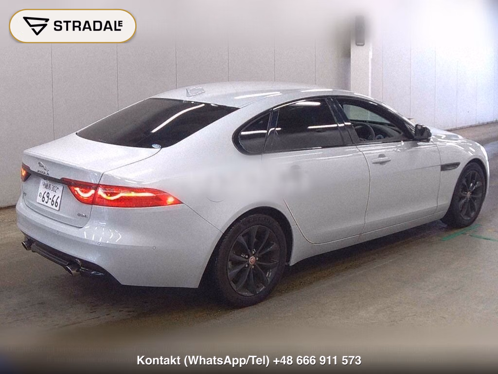JAGUAR XF XF KEI NISHIKORI EDITION, miniaturka 6