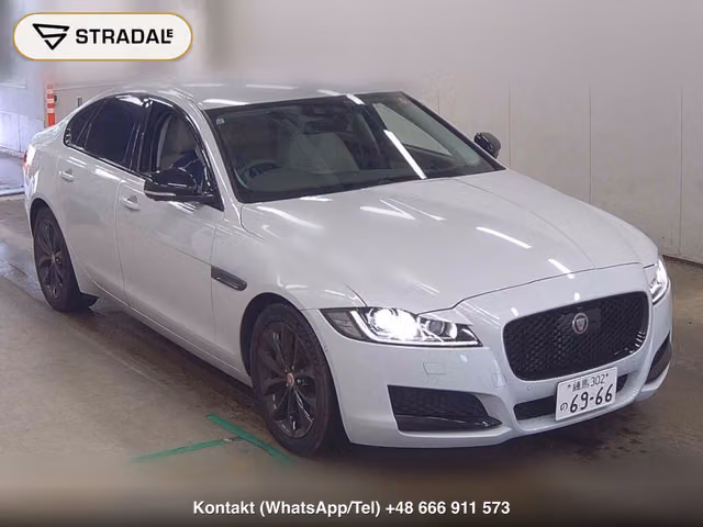 JAGUAR XF XF KEI NISHIKORI EDITION 2017, samochód z aukcji Japonii