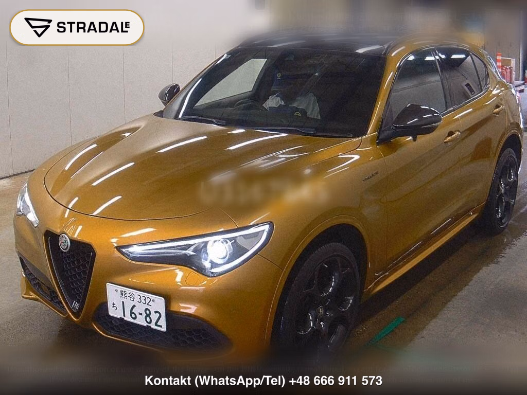 ALFA ROMEO STELVIO 4WD 2.0 TURBO Q4 VELOCE GT JUNIOR, miniaturka 5