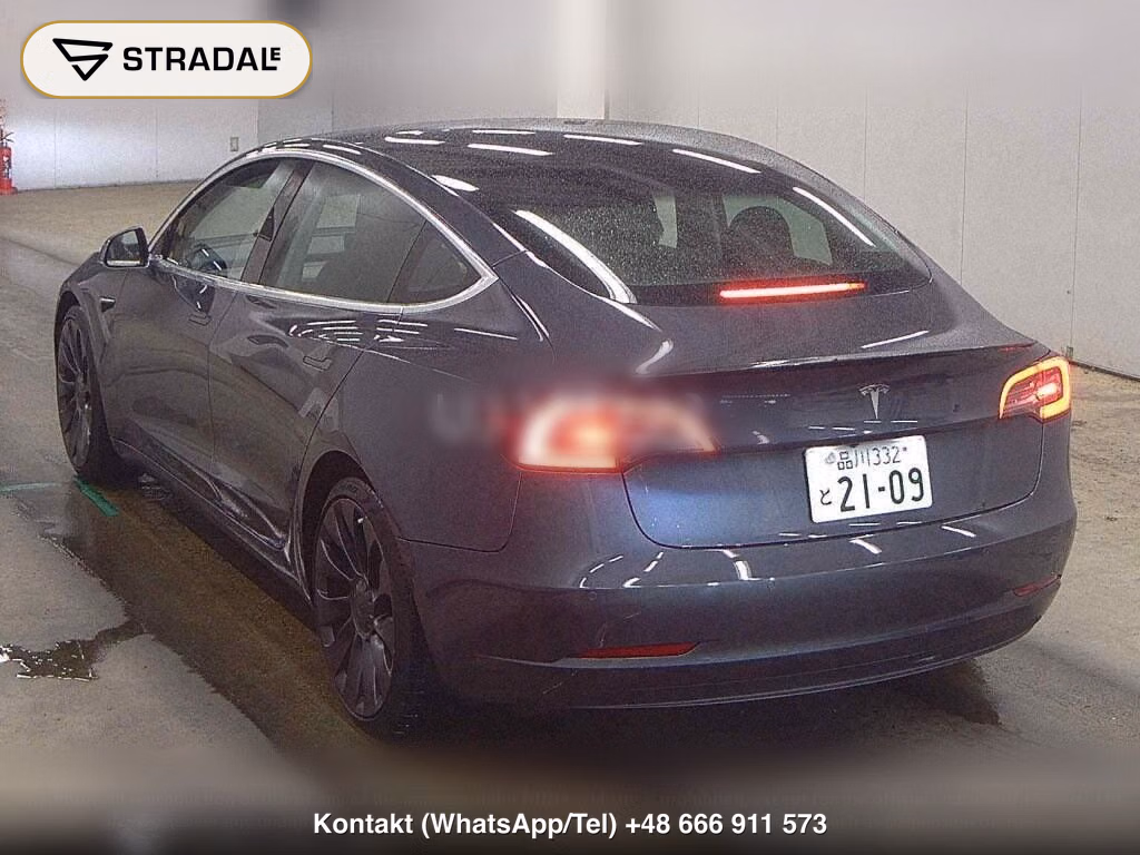 TESLA MODEL 3 4WD PERFOMANCE, miniaturka 3