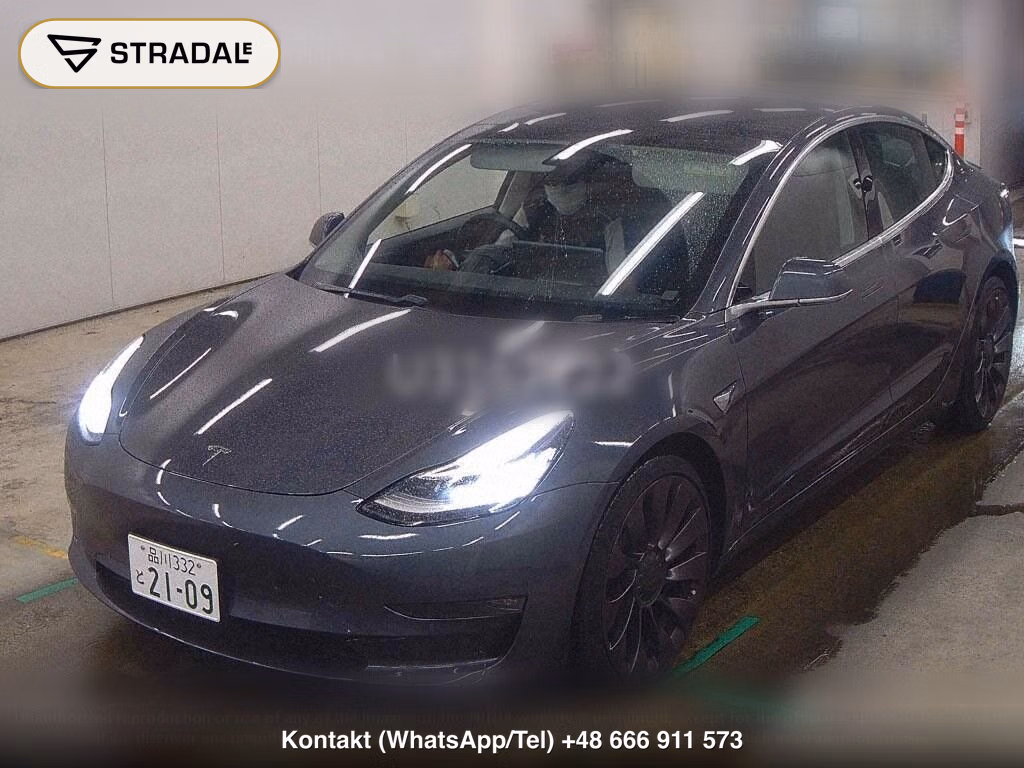 TESLA MODEL 3 4WD PERFOMANCE, miniaturka 5