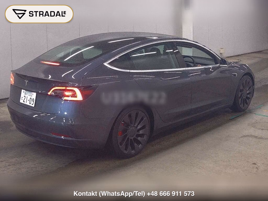 TESLA MODEL 3 4WD PERFOMANCE, miniaturka 6
