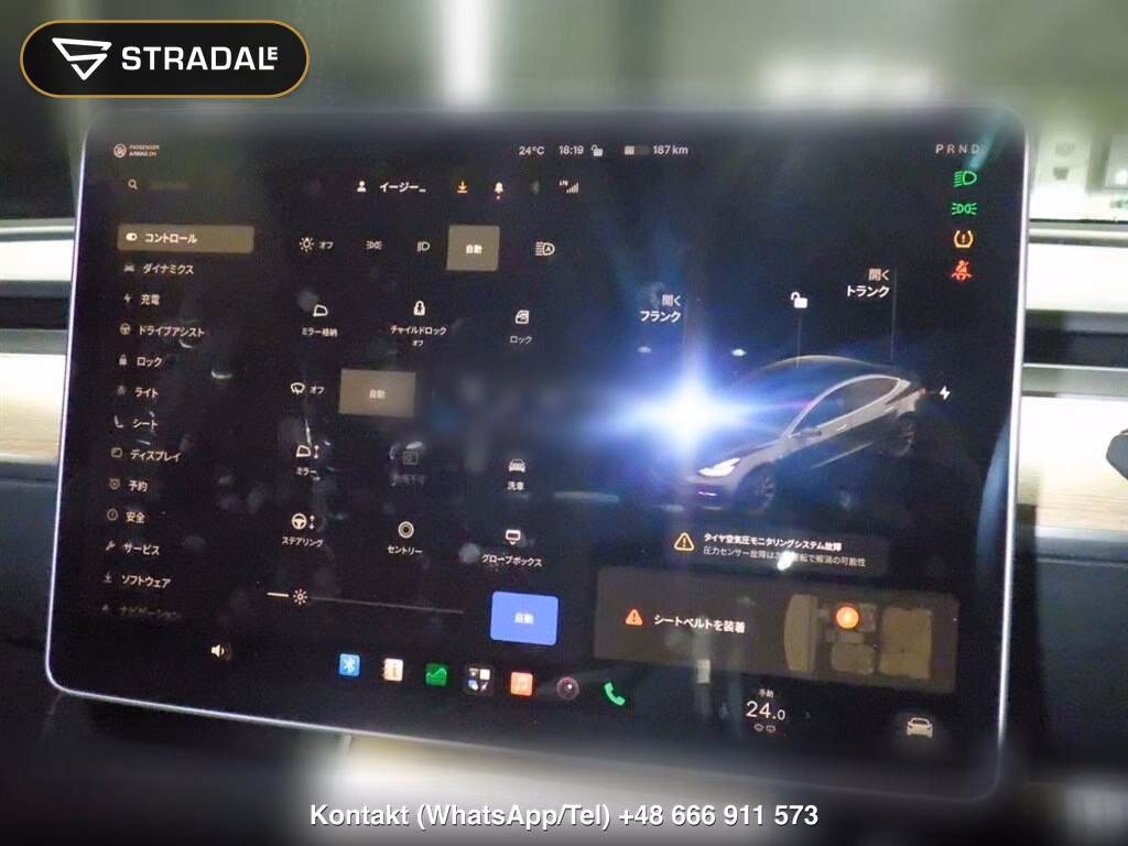 TESLA MODEL 3 4WD PERFOMANCE, miniaturka 7