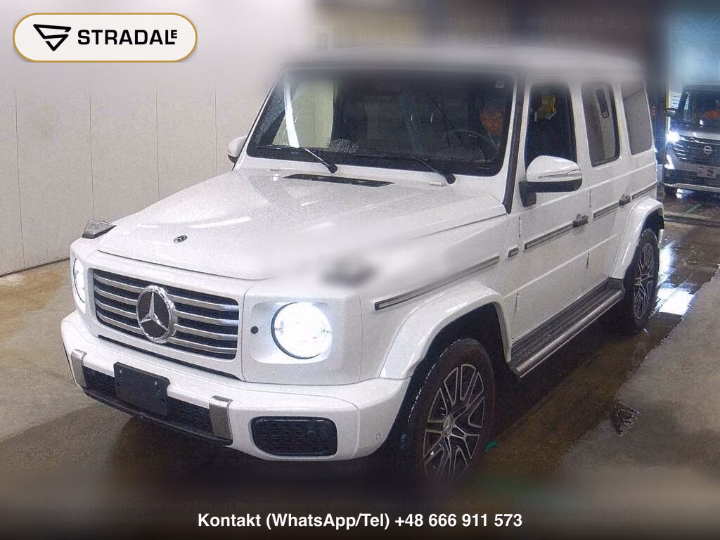 MERCEDES BENZ G-CLASS 5D 4WD G450D LAUNCH EDITION, miniaturka 5