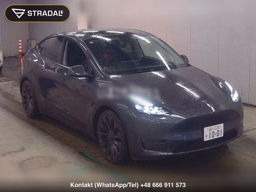 TESLA MODEL Y 4WD PERFORMANCE, miniaturka 2