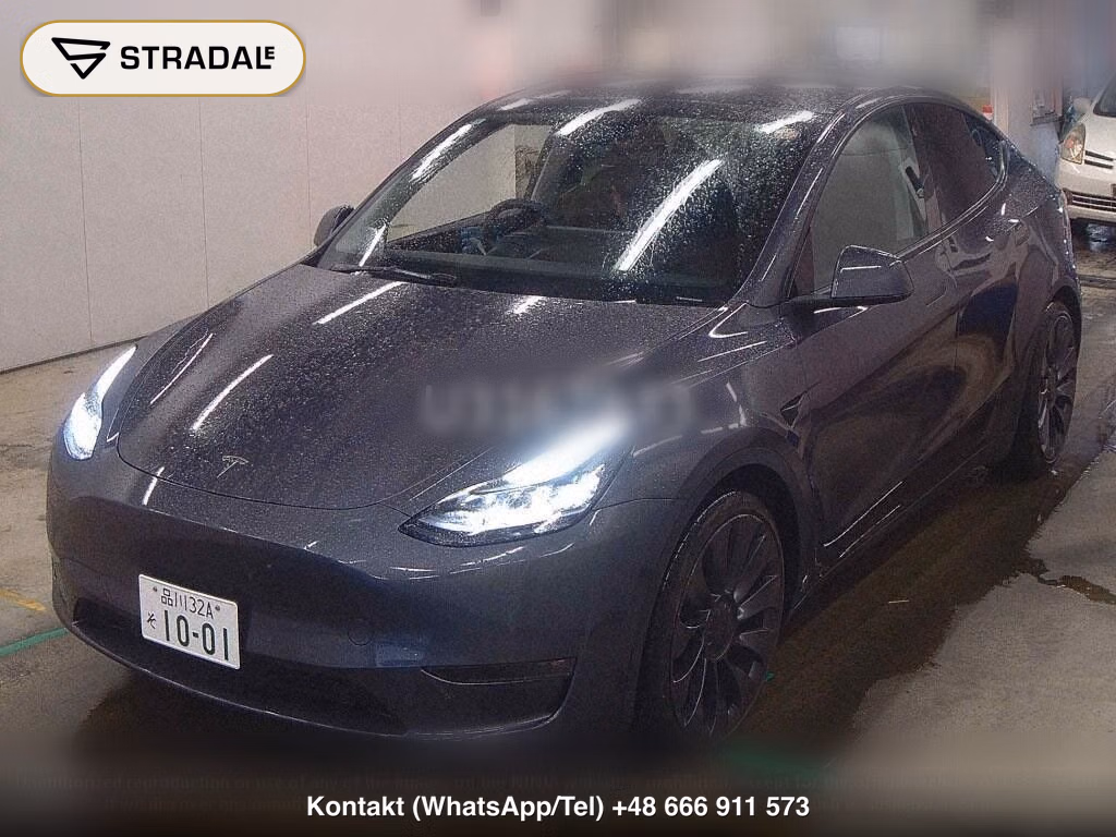 TESLA MODEL Y 4WD PERFORMANCE, miniaturka 5