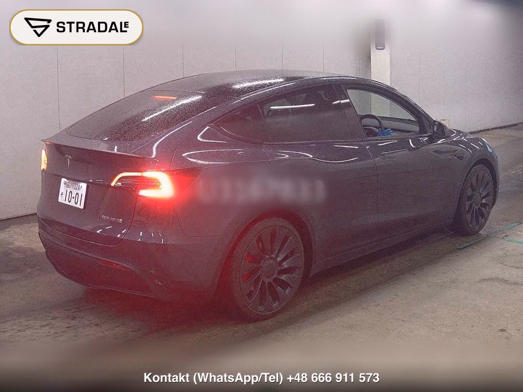 TESLA MODEL Y 4WD PERFORMANCE, miniaturka 6