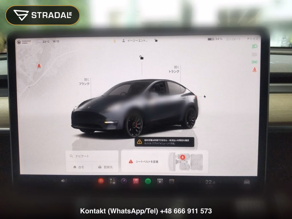 TESLA MODEL Y 4WD PERFORMANCE, miniaturka 7