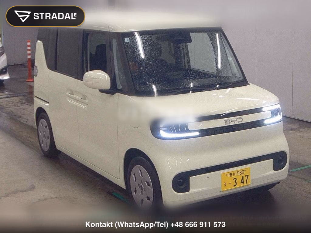 BYD RACCO 200, miniaturka 2