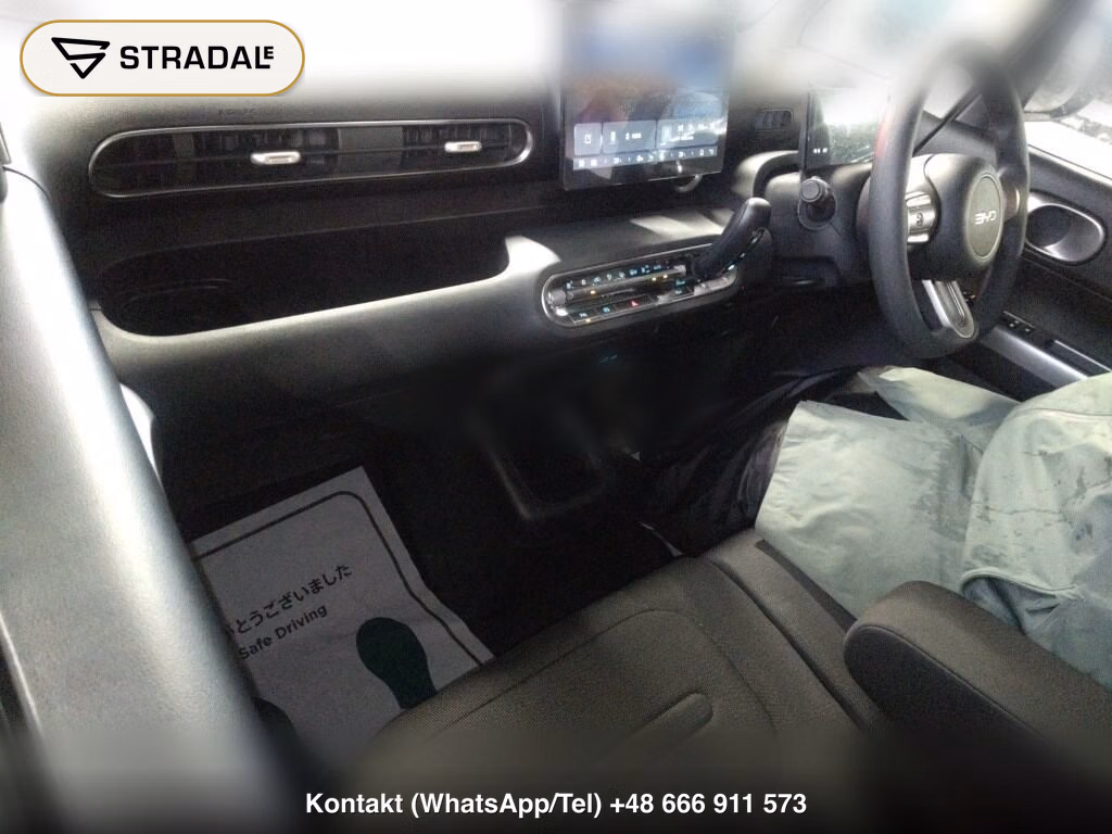 BYD RACCO 200, miniaturka 4