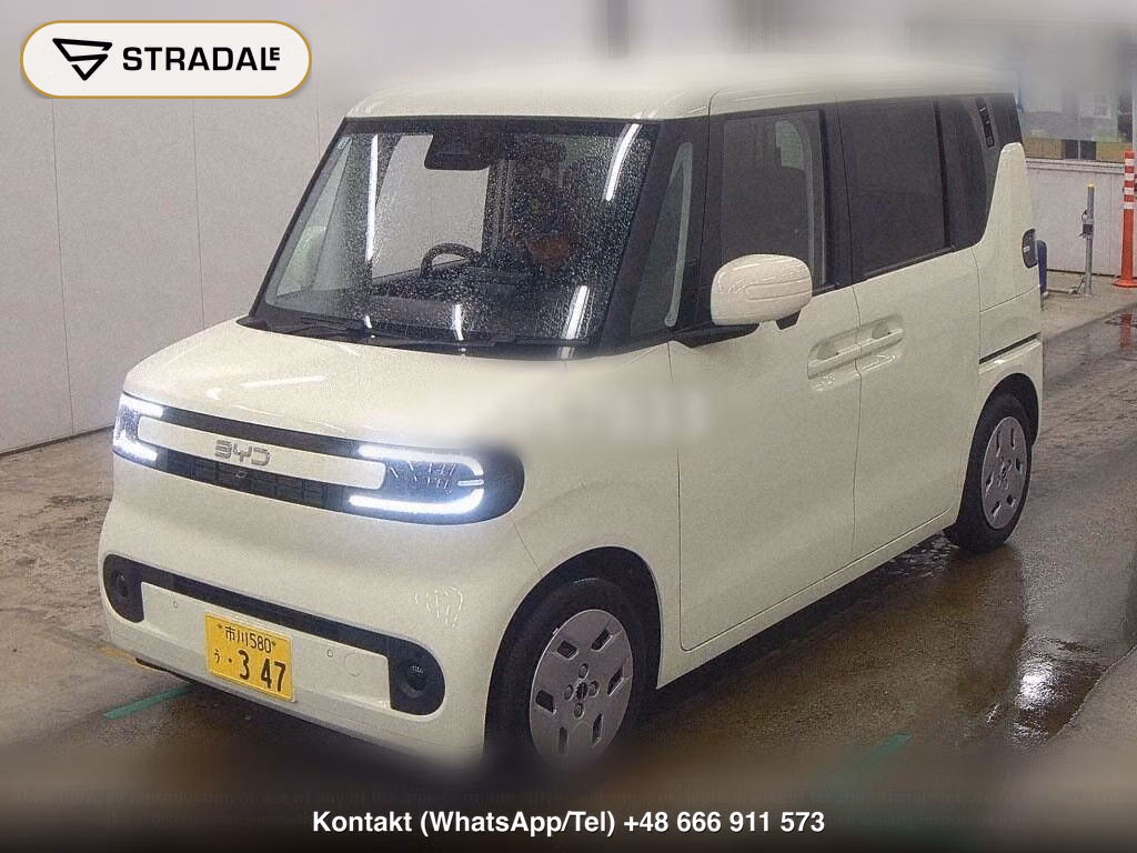 BYD RACCO 200, miniaturka 5