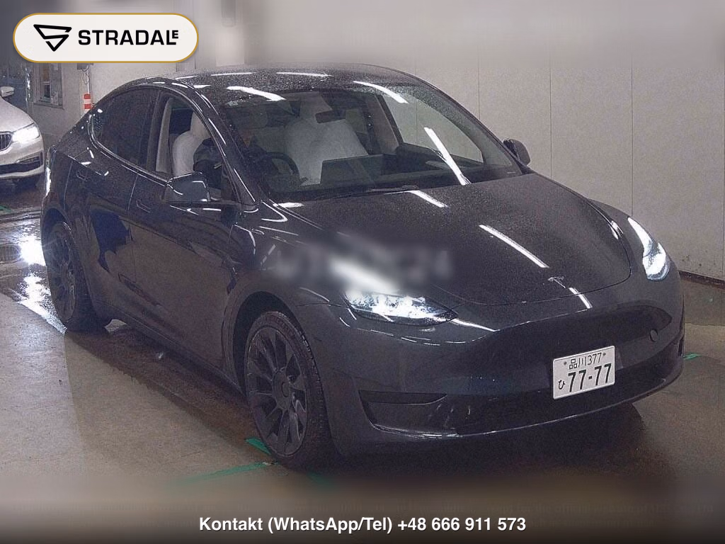 TESLA MODEL Y RWD, miniaturka 2