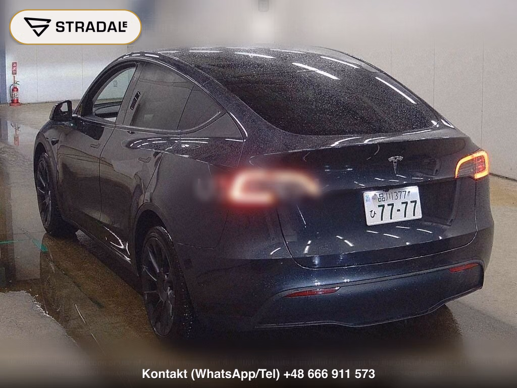 TESLA MODEL Y RWD, miniaturka 3