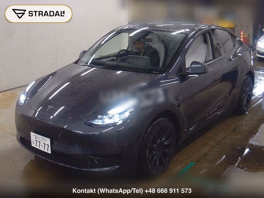 TESLA MODEL Y RWD, miniaturka 5