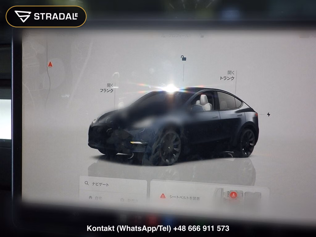 TESLA MODEL Y RWD, miniaturka 7