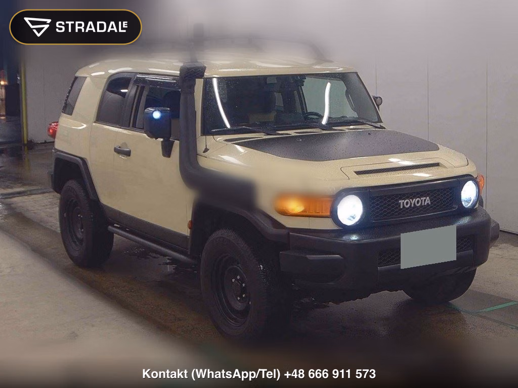 AMERICA TOYOTA FJ CRUISER 4WD OTHERS 2010, aukcja z Japonii, zdjęcie 1