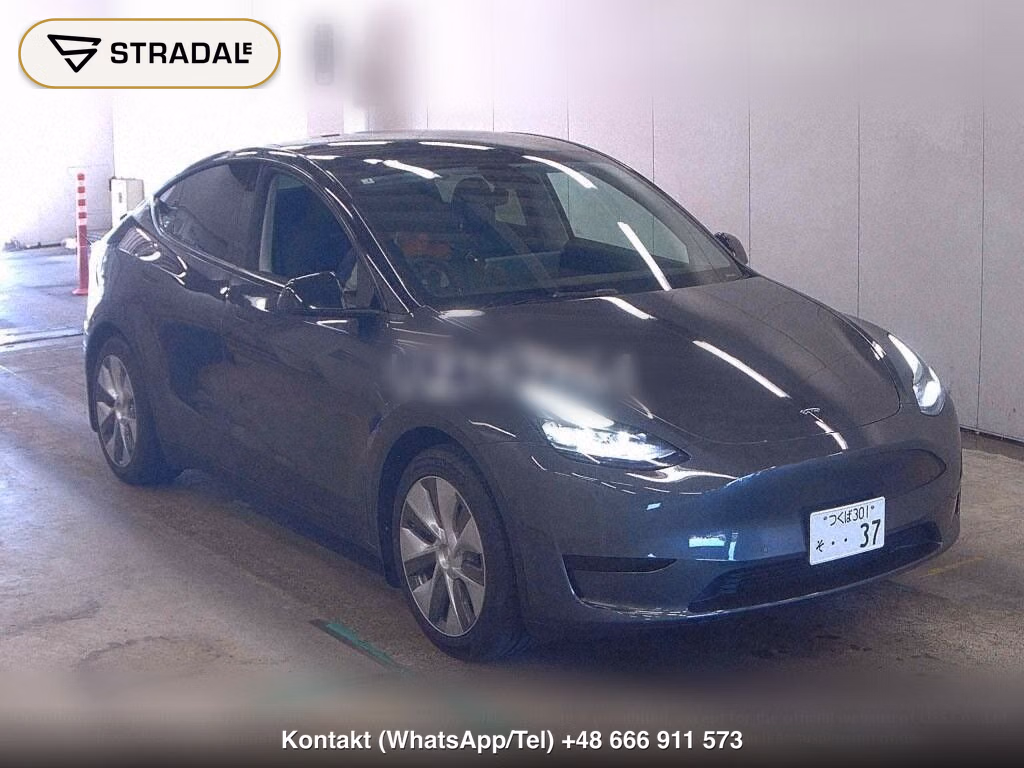 TESLA MODEL Y RWD, miniaturka 2