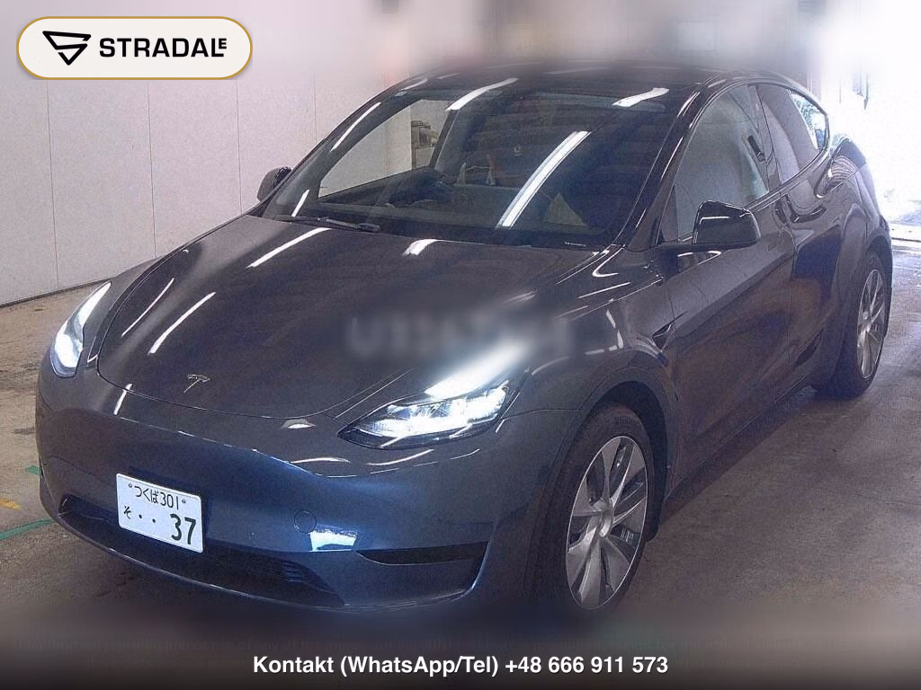 TESLA MODEL Y RWD, miniaturka 5
