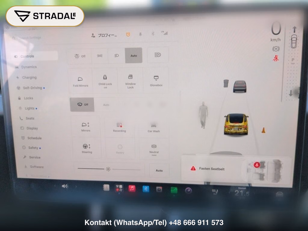 TESLA MODEL 3 RWD, miniaturka 7