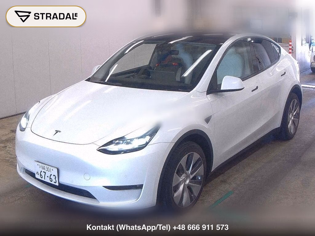 TESLA MODEL Y 4WD LONG RANGE, miniaturka 5