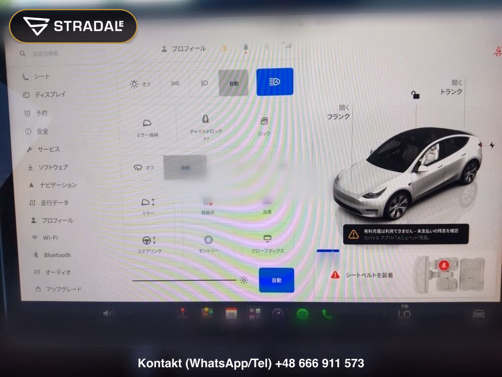 TESLA MODEL Y 4WD LONG RANGE, miniaturka 7