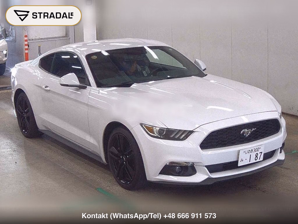 FORD MUSTANG CP 50 YEARS EDITION, miniaturka 2