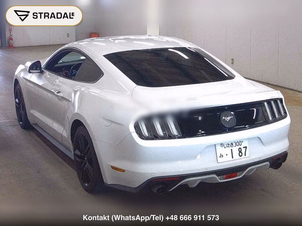FORD MUSTANG CP 50 YEARS EDITION, miniaturka 3