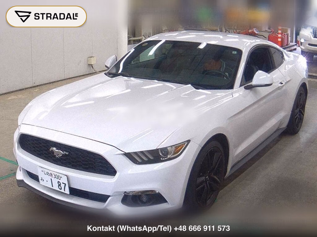 FORD MUSTANG CP 50 YEARS EDITION, miniaturka 5