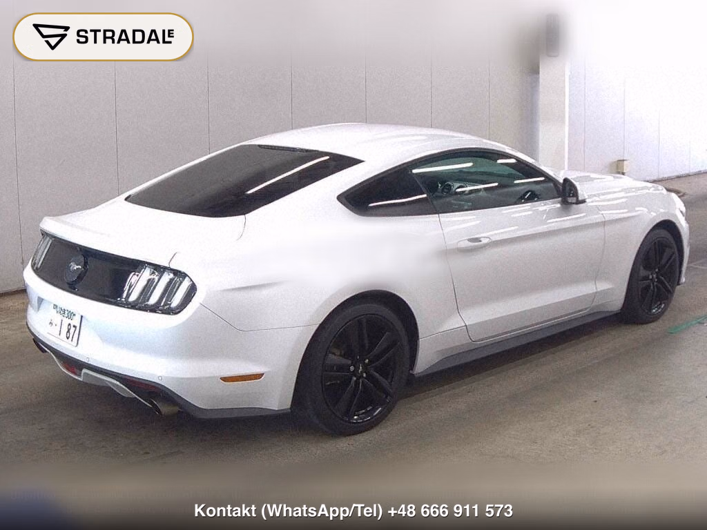 FORD MUSTANG CP 50 YEARS EDITION, miniaturka 6