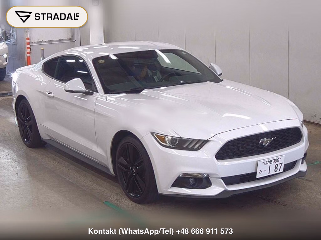 FORD MUSTANG CP 50 YEARS EDITION 2015, aukcja z Japonii, zdjęcie 1