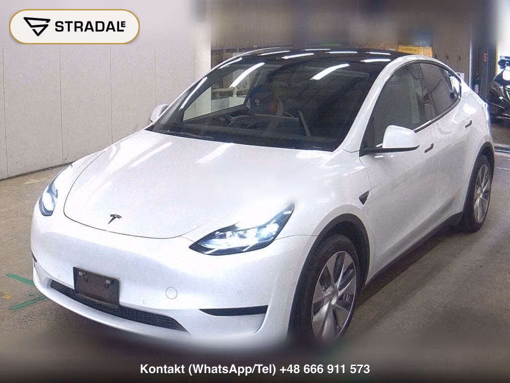 TESLA MODEL Y RWD, miniaturka 5