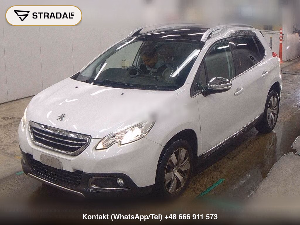 PEUGEOT 2008 CIELO, miniaturka 5