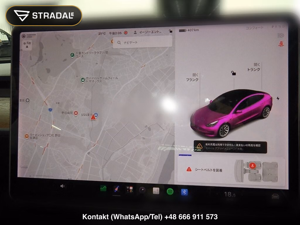 TESLA MODEL 3 4WD LONG RANGE, miniaturka 7